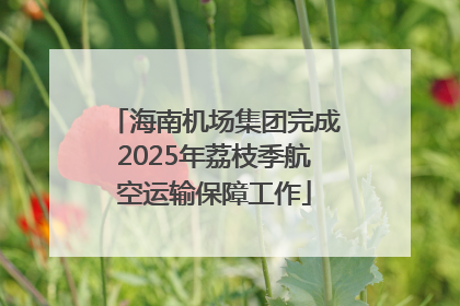 海南机场集团完成2025年荔枝季航空运输保障工作