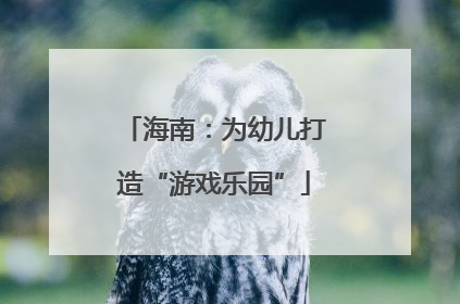 海南：为幼儿打造“游戏乐园”