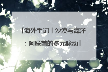 海外手记丨沙漠与海洋：阿联酋的多元脉动