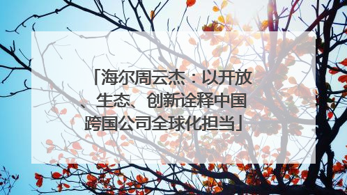 海尔周云杰：以开放、生态、创新诠释中国跨国公司全球化担当