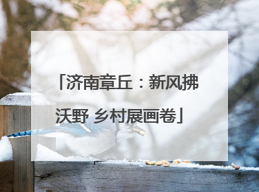 济南章丘：新风拂沃野 乡村展画卷