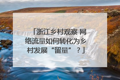 浙江乡村观察 网络流量如何转化为乡村发展“留量”？