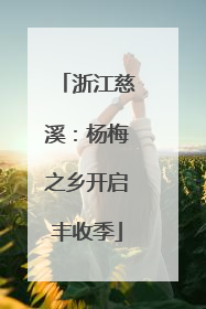 浙江慈溪：杨梅之乡开启丰收季