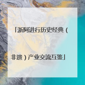 浙阿进行历史经典（非遗）产业交流互鉴