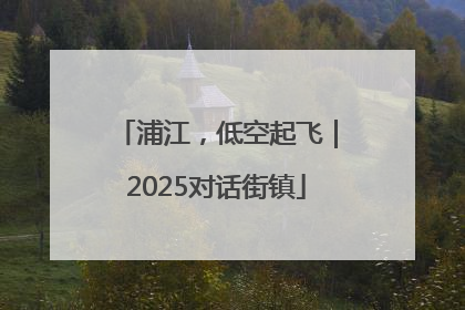 浦江，低空起飞｜2025对话街镇