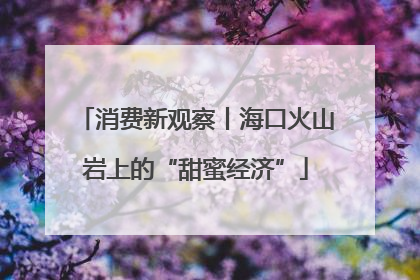 消费新观察丨海口火山岩上的“甜蜜经济”