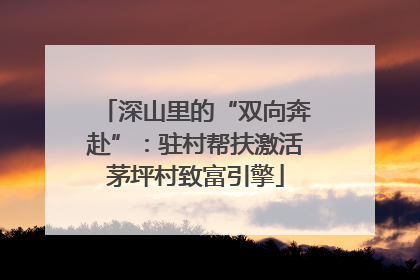深山里的“双向奔赴”：驻村帮扶激活茅坪村致富引擎