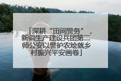 深耕“田间警务”，新疆生产建设兵团第二师公安以警护农绘就乡村振兴平安画卷