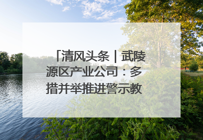 清风头条｜武陵源区产业公司：多措并举推进警示教育走深走实