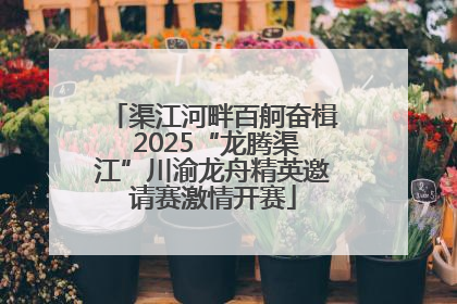渠江河畔百舸奋楫 2025“龙腾渠江”川渝龙舟精英邀请赛激情开赛