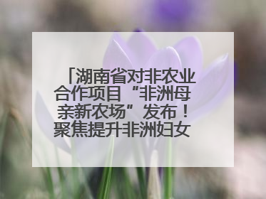 湖南省对非农业合作项目“非洲母亲新农场”发布！聚焦提升非洲妇女能力与家庭福祉