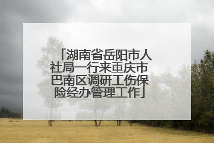 湖南省岳阳市人社局一行来重庆市巴南区调研工伤保险经办管理工作