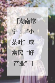 湖南常宁：“小茶叶”成富民“好产业”