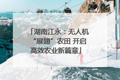 湖南江永：无人机“展翅”农田 开启高效农业新篇章