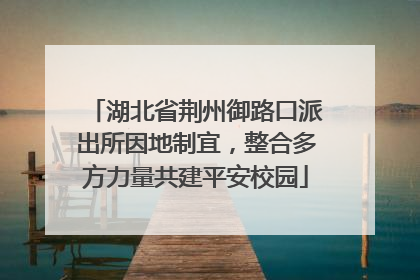 湖北省荆州御路口派出所因地制宜，整合多方力量共建平安校园