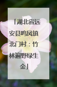 湖北省远安县鸣凤镇北门村：竹林遍野绿生金