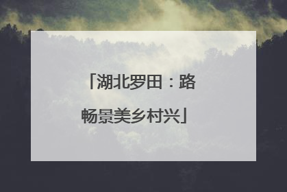 湖北罗田：路畅景美乡村兴