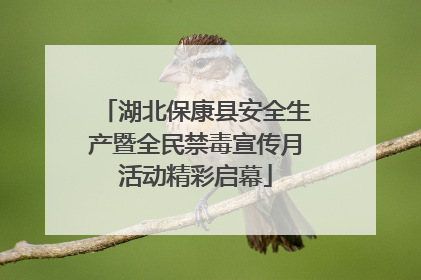 湖北保康县安全生产暨全民禁毒宣传月活动精彩启幕