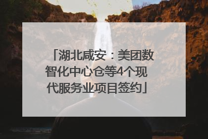 湖北咸安：美团数智化中心仓等4个现代服务业项目签约