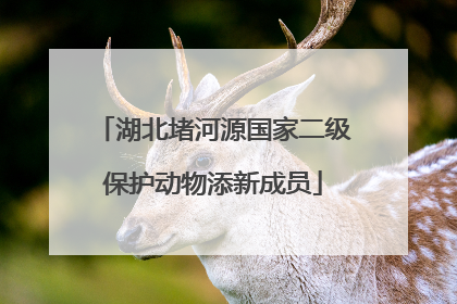 湖北堵河源国家二级保护动物添新成员
