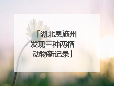 湖北恩施州发现三种两栖动物新记录