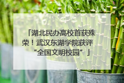 湖北民办高校首获殊荣！武汉东湖学院获评“全国文明校园”