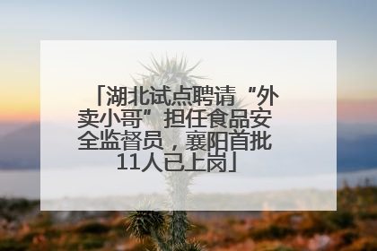湖北试点聘请“外卖小哥”担任食品安全监督员，襄阳首批11人已上岗