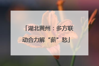 湖北黄州：多方联动合力解“薪”愁