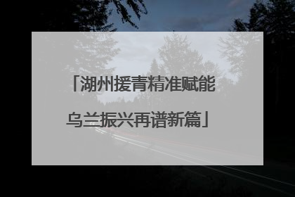 湖州援青精准赋能 乌兰振兴再谱新篇