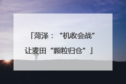 菏泽：“机收会战”让麦田“颗粒归仓”
