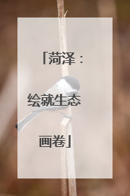菏泽：绘就生态画卷