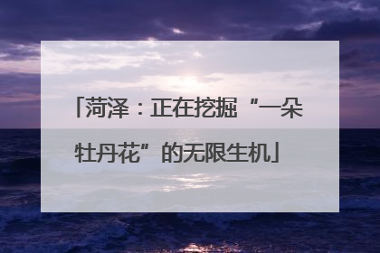 菏泽：正在挖掘“一朵牡丹花”的无限生机