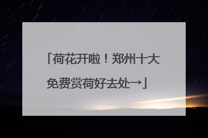荷花开啦！郑州十大免费赏荷好去处→