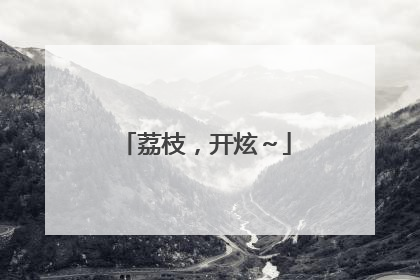 荔枝，开炫～