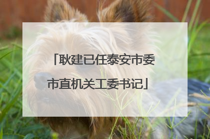 耿建已任泰安市委市直机关工委书记