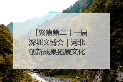 聚焦第二十一届深圳文博会｜河北创新成果拓展文化产业“朋友圈”