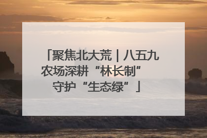 聚焦北大荒｜八五九农场深耕“林长制” 守护“生态绿”