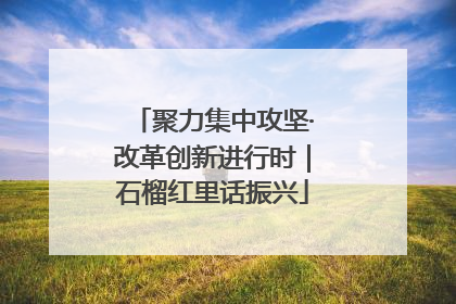 聚力集中攻坚·改革创新进行时｜石榴红里话振兴