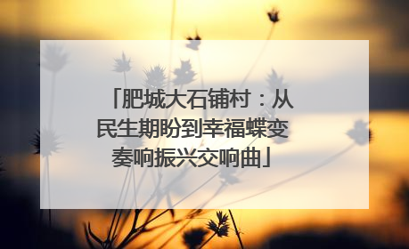 肥城大石铺村：从民生期盼到幸福蝶变奏响振兴交响曲