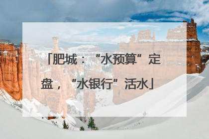 肥城：“水预算”定盘，“水银行”活水