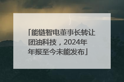 能链智电董事长转让团油科技，2024年年报至今未能发布