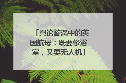 舆论漩涡中的英国航母：既要修浴室，又要无人机