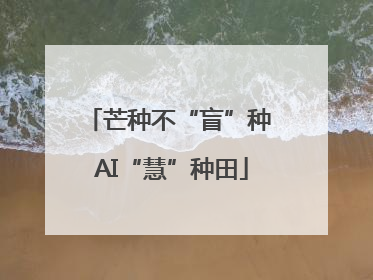 芒种不“盲”种 AI“慧”种田