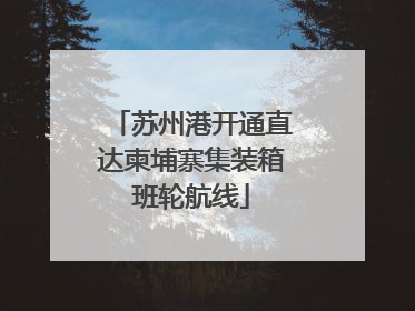 苏州港开通直达柬埔寨集装箱班轮航线