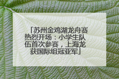 苏州金鸡湖龙舟赛热烈开场：小学生队伍首次参赛，上海龙获国际组冠亚军