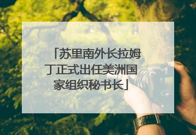 苏里南外长拉姆丁正式出任美洲国家组织秘书长