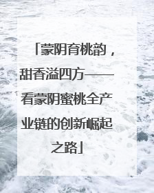蒙阴育桃韵，甜香溢四方——看蒙阴蜜桃全产业链的创新崛起之路