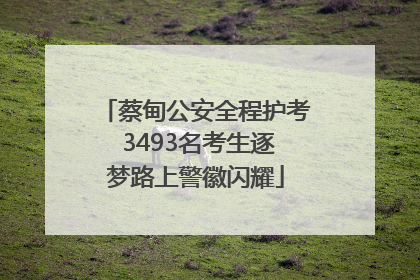 蔡甸公安全程护考 3493名考生逐梦路上警徽闪耀