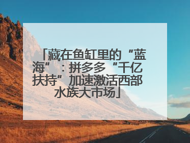 藏在鱼缸里的“蓝海”：拼多多“千亿扶持”加速激活西部水族大市场