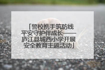 警校携手筑防线 平安守护伴成长——庐江县城西小学开展安全教育主题活动